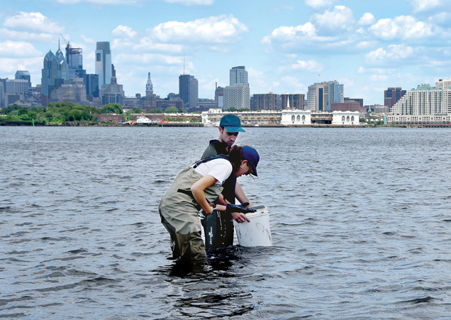 Two scientists collect mussels in a river